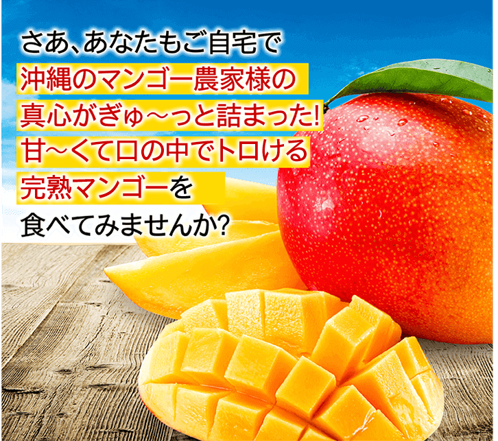 沖縄県産のマンゴー農家様の真心がぎゅーっと詰まった！甘ーくて口の中でトロける家庭用マンゴーを食べてみませんか？