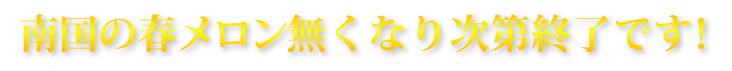 これより、2019年度分「宮古島産　高級赤肉 妃（きさき）メロン」予約受付開始します！「数量限定」先着93セット！なくなり次第終了です！