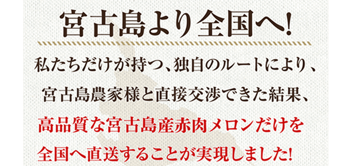 宮古島より全国へ!　私たちだけが持つ、独自のルートにより、宮古島農家様と直接交渉できた結果、市場価格よりもお手頃なお値段で全国へ直送することが実現しました!